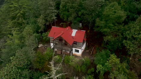 isolated alone old house in the middle of green tree forest background and in the woods on the mountains surrounded nature