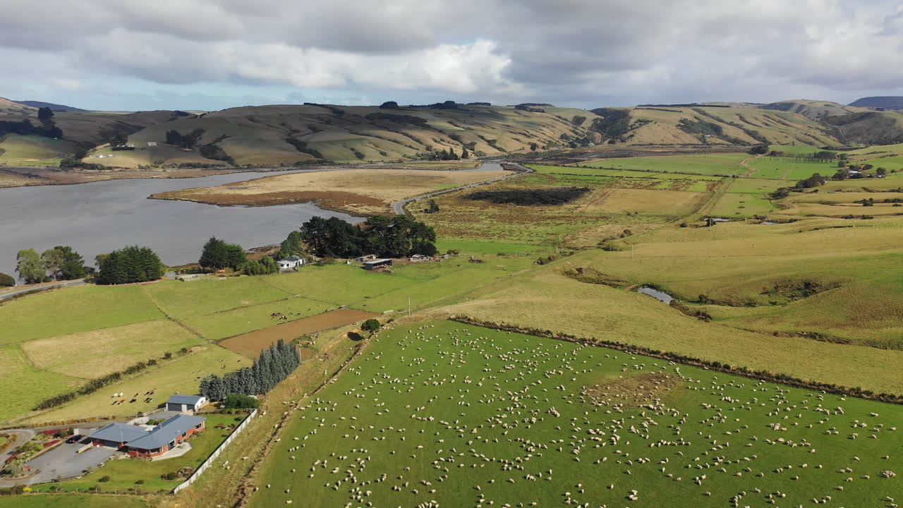Aerial drone view over a sheep farm in the scenic rural countryside of New Zealand's South Island