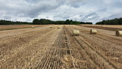 Witness-the-natural-harmony-from-above-as-the-drone-hovers-over-straw-bales