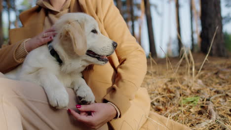 Cute-middle-aged-woman-relaxing-in-the-forest-with-a-golden-retriever-puppy