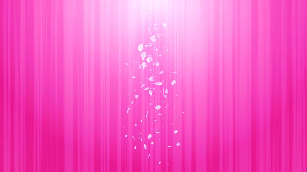 espiral partícula brillante de las flores de cerezo. patrón sakura. baile de cerezo japonés. vórtice de pétalos rosados. animación de bucle abstracto.