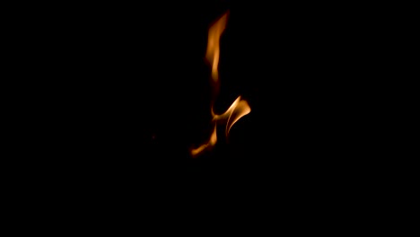 fire flames burning on a dark background close up