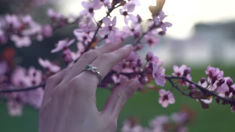 Mann-Nahm-Romantisch-Die-Hand-Der-Frau-In-Der-Nähe-Der-Blumen