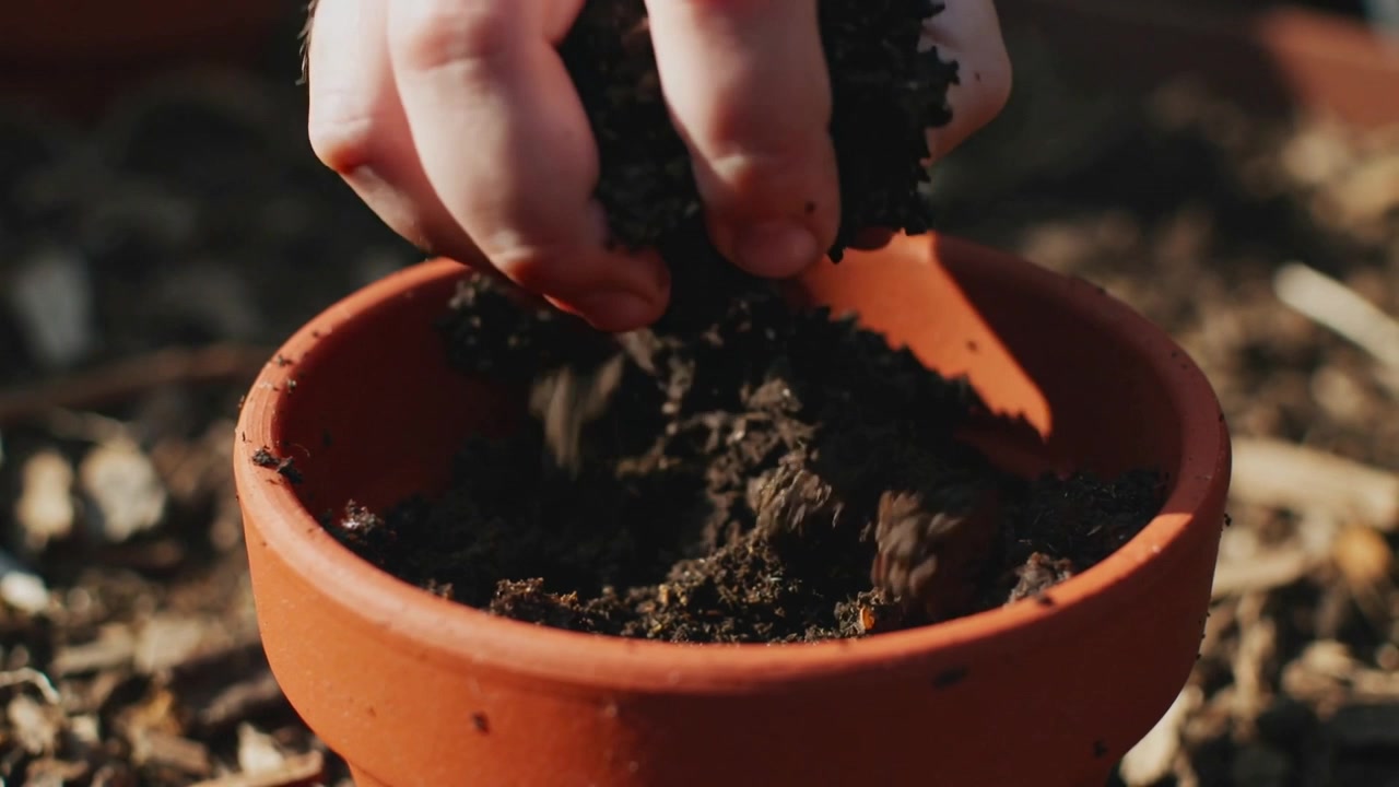 Una mano nuda che preme e compatta, allentando il terriccio all'interno di un vaso di terracotta in giardino per la semina.