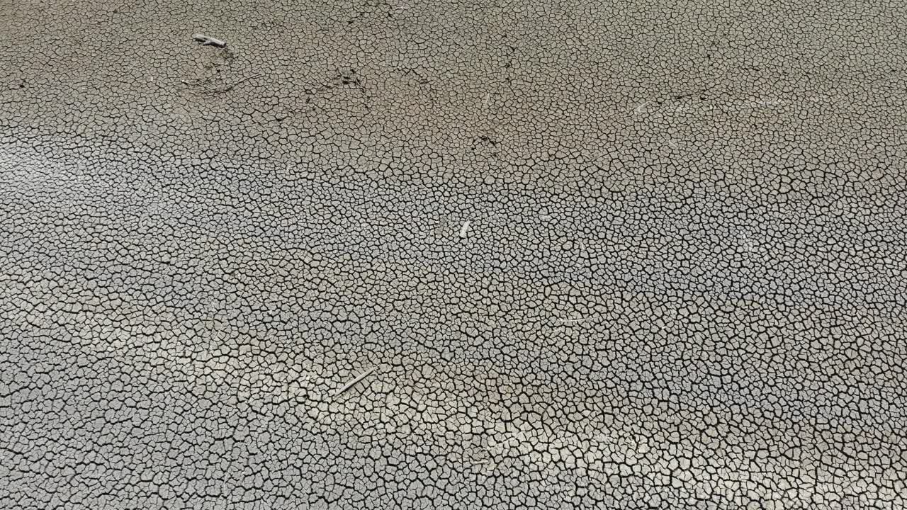 Cracked ground by the water