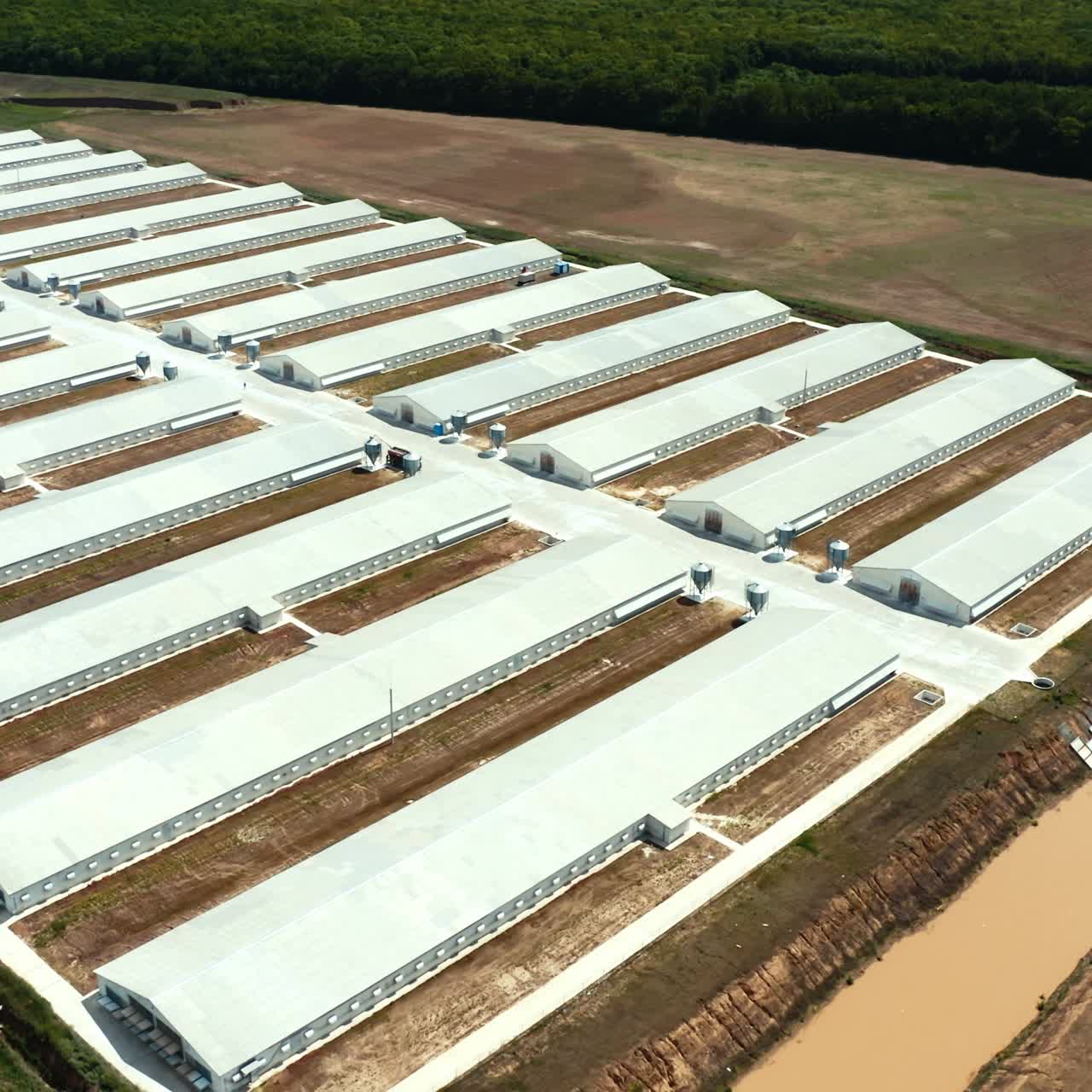 Poultry farm buildings