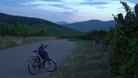 Bicicleta-Aislada-Dejada-En-Las-Afueras-Del-Pueblo-De-Riquewihr.