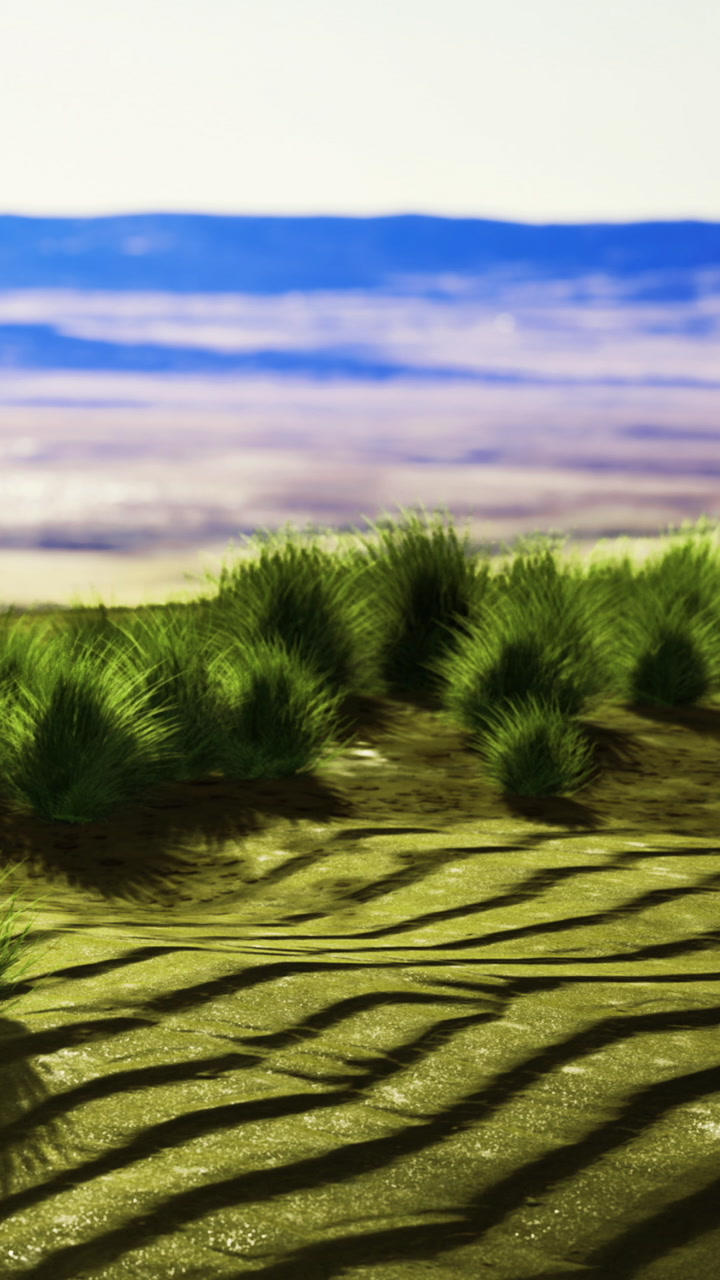 Green grass grows on the hillside in a sunny landscape view during the day