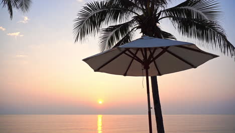 una colorida puesta de sol detrás de una sombrilla y una palmera