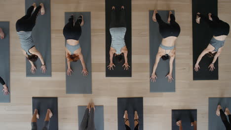 top view yoga class healthy women practicing warrior pose enjoying fitness lifestyle exercising in studio