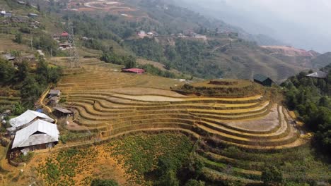 aerial orbiting over traditional rice plantation terraces from sapa valley, vietnam