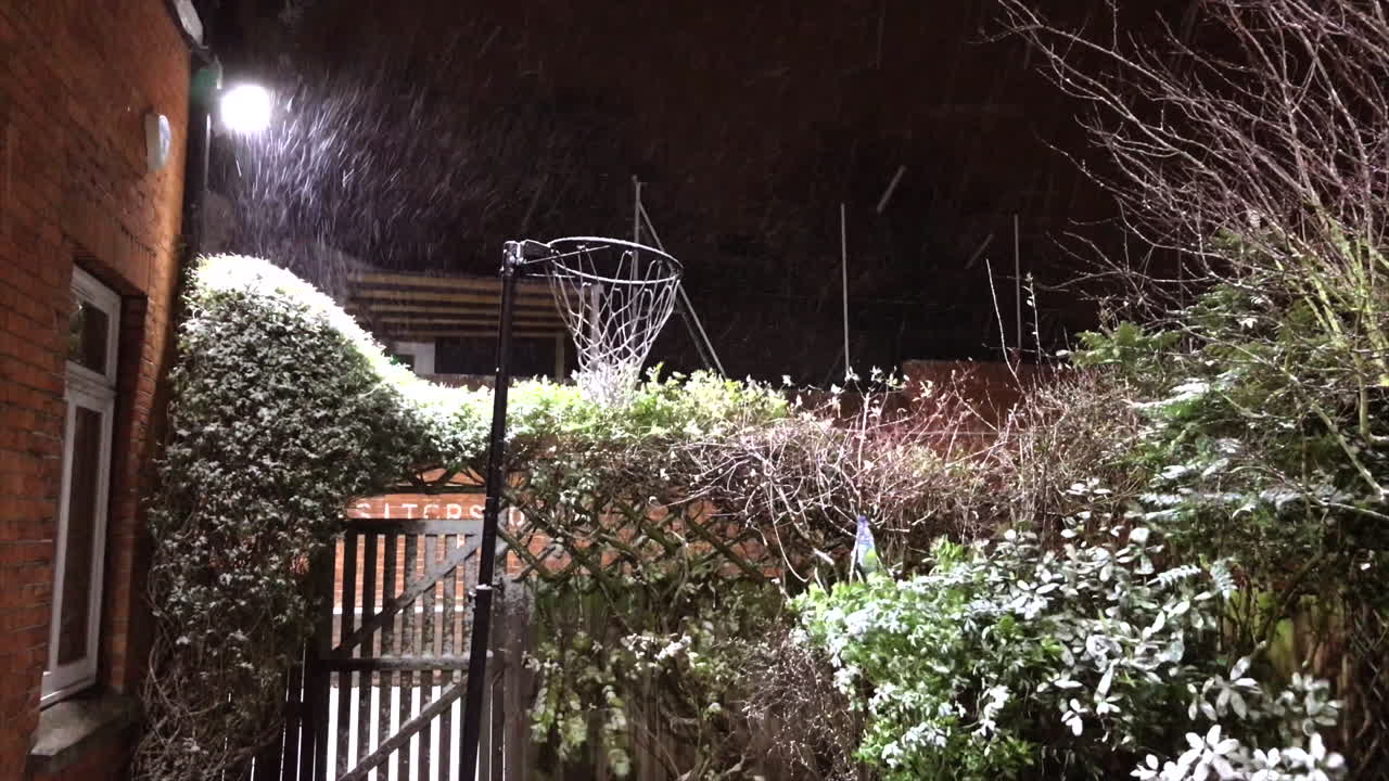 홍수 조명 아래 밤에 불이 켜진 영국 별장 정원의 네트볼 후프를 지나 눈이 내린다