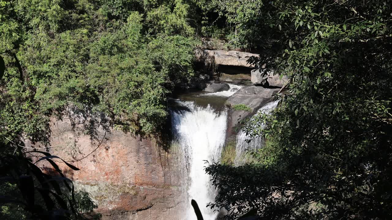 agua en cascada por un acantilado rodeado de árboles
