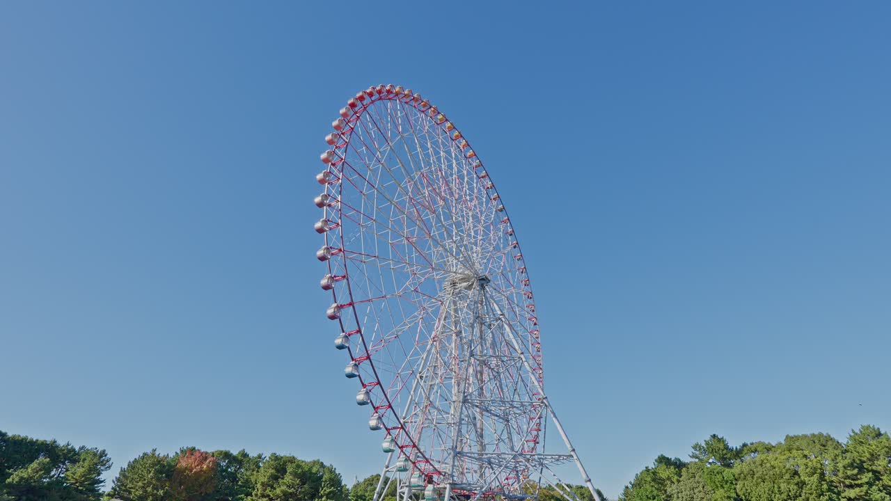 A full-height shot of the massive Ferris wheel at Kasai Rinkai Park against a clear blue sky, framed by trees at the bottom