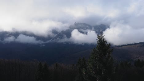 Drone-shot-flying-passing-some-pine-trees-with-a-mountain-misty-landscape