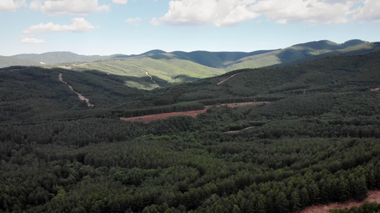 video de drones sobre bosques densos y verdes, caminos de tierra, cielo azul, nubes hinchadas, día de verano