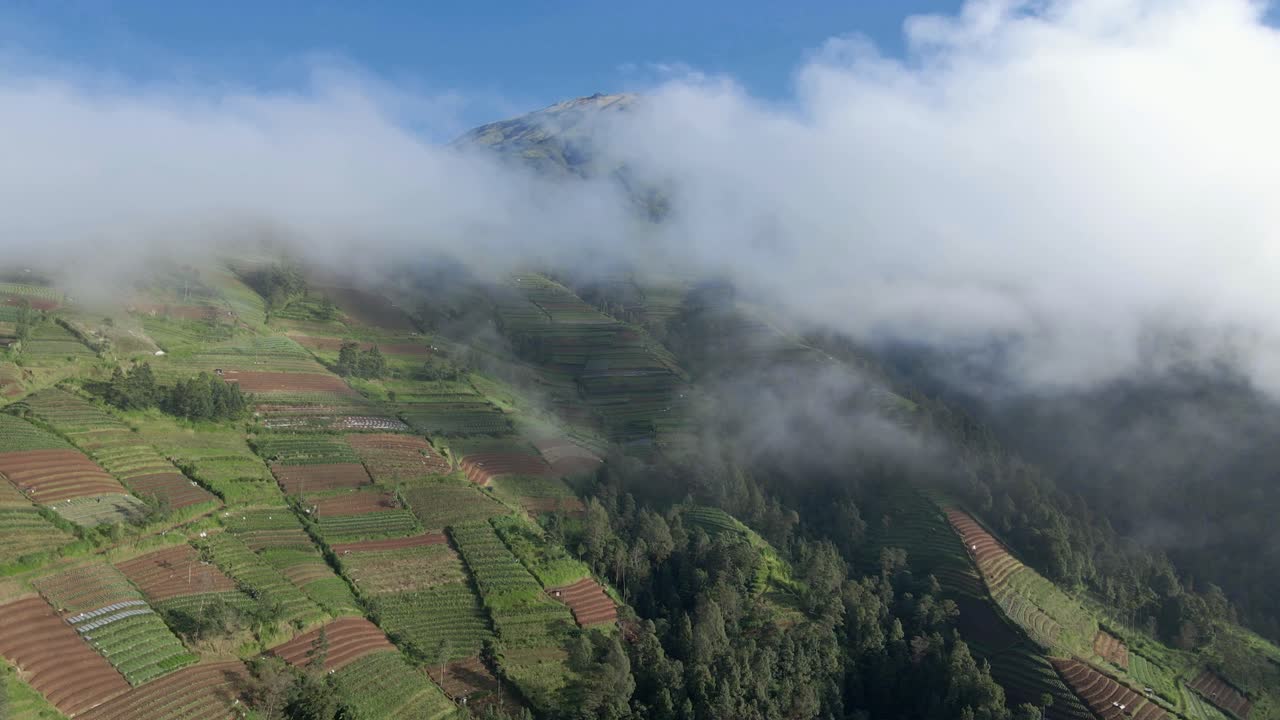 la ladera del monte sumbing, en el centro de java, indonesia