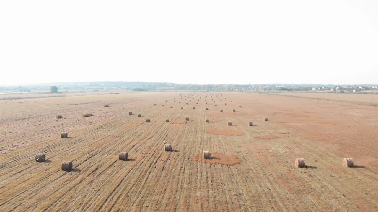 Grassland and haystacks. Agriculture farming concept. Haystacks on wheat field. Agriculture field with sky. Rural nature in farm land. Straw on meadow