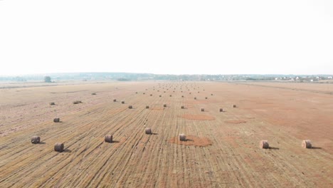 grassland and haystacks. agriculture farming concept. haystacks on wheat field. agriculture field with sky. rural nature in farm land. straw on meadow