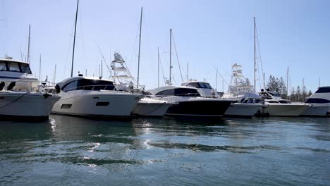 yachts and boats docked at a marina