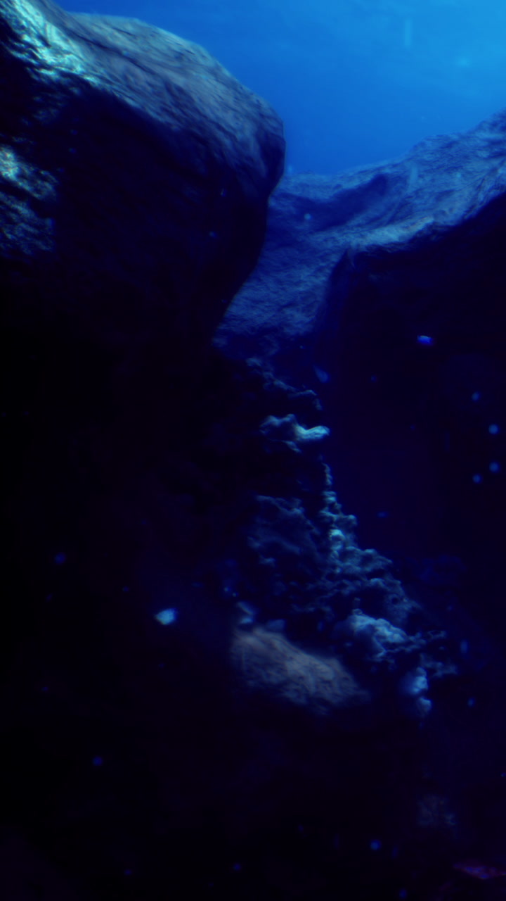 Underwater scene with rocks and coral in dark water near a surface light