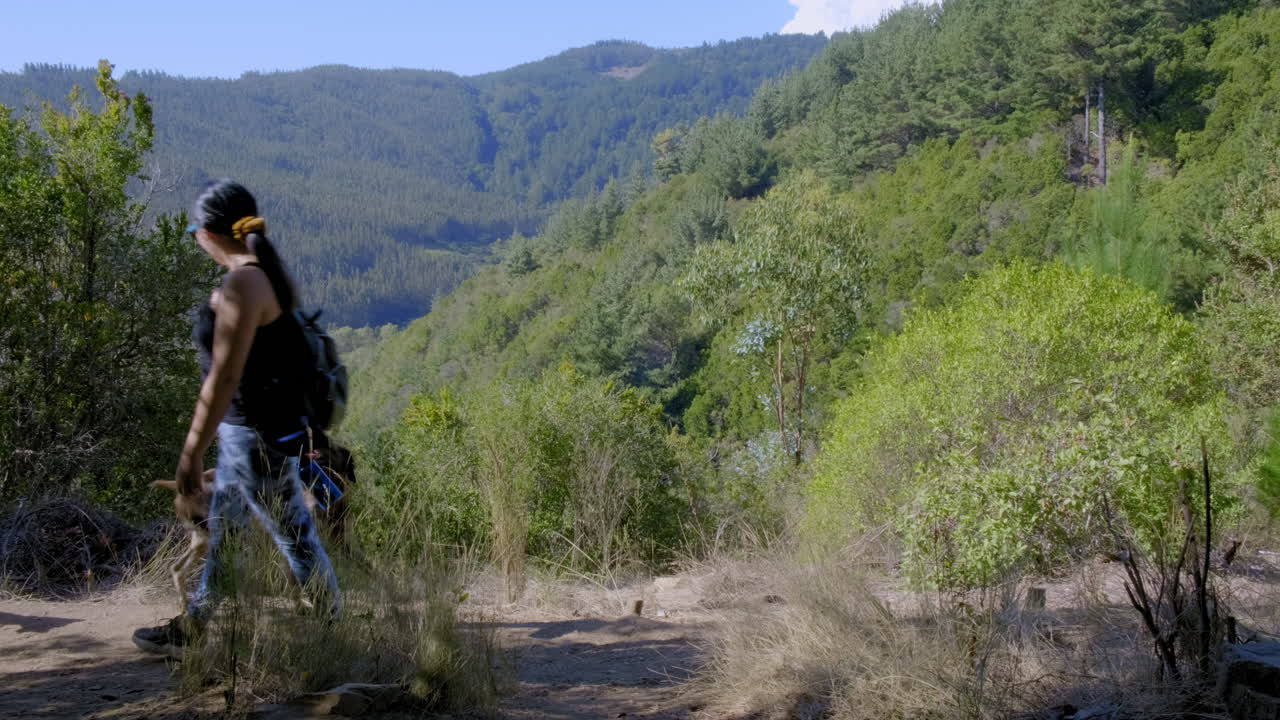 mujer caminando por la colina, en un paseo al aire libre, se encuentra con un perro en el medio del viaje