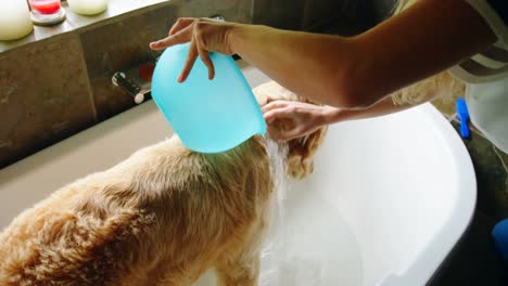 mujer lavando a su perro en el baño 4k