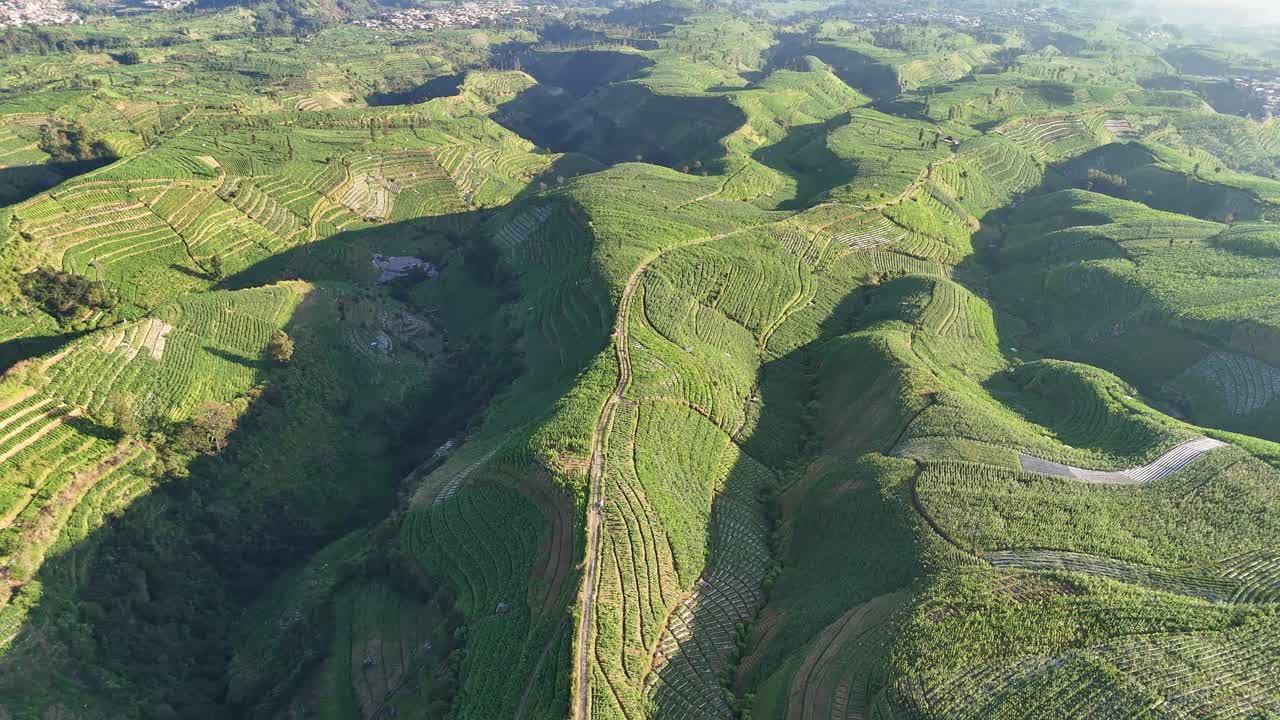 Drone footage of lush undulating hills with farmland stretching across the landscape. Peaceful and scenic view of sustainable agricultural practices in mountainous region