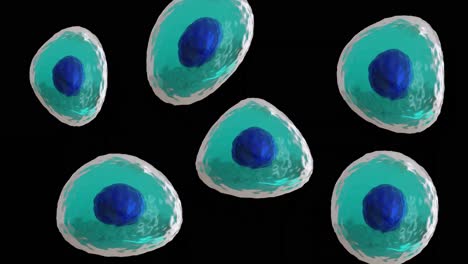 animation of micro of blue and turquoise cells on black background