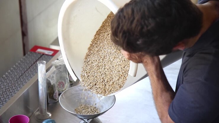 Medium close up shot of man pouring barley onto scale for weighing