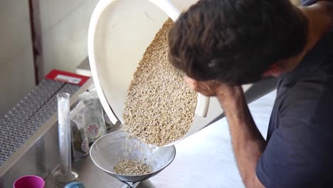 medium close up shot of man pouring barley onto scale for weighing