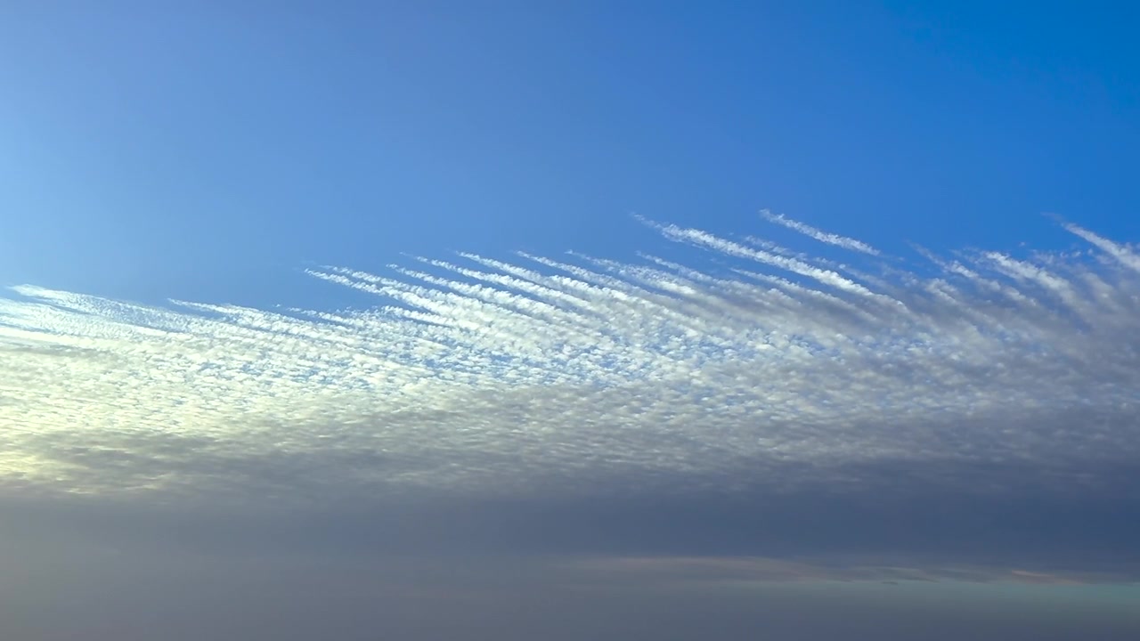 Pilotens udsigt til et lag Altocumulus Undulatus-skyer på en blå himmel, fanget ved solopgang. 4K høj kontrast-optagelse.
