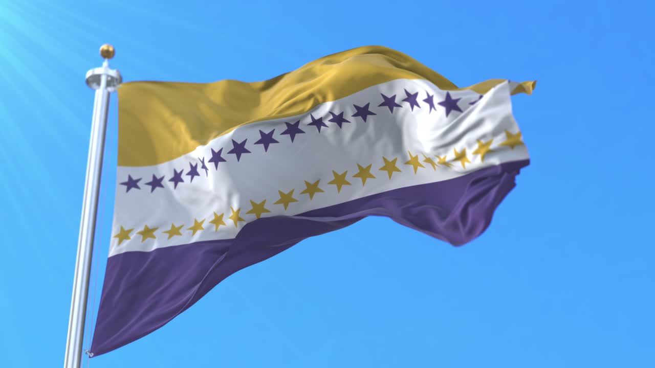 여성 참정권 발, 미국 참정권 운동