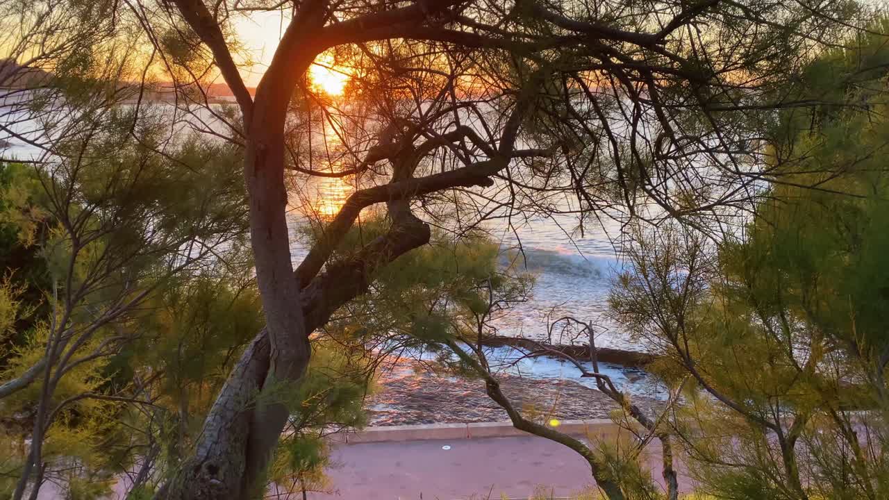 Imagens do pôr do sol atrás das árvores com silhueta e sol alaranjado na Praia de Santo Amaro, Oeiras, Lisboa