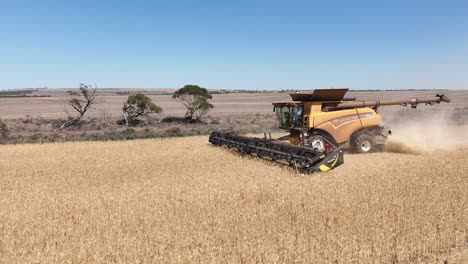 this footage captures the synergy of modern agricultural technology, showcasing the essential role of header fronts in the wheat harvesting process