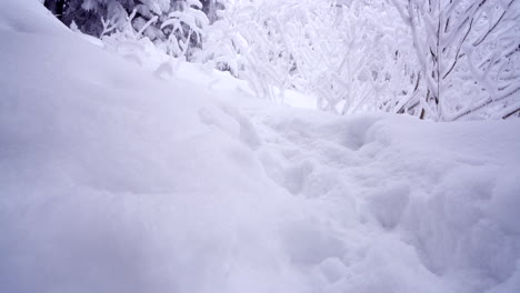 Dolly-Pan-Rodada-En-El-Maravilloso-Invierno-De-La-Montaña-Del-Este-De-Canadá