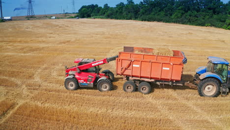 harvesting wheat field with tractor and loader