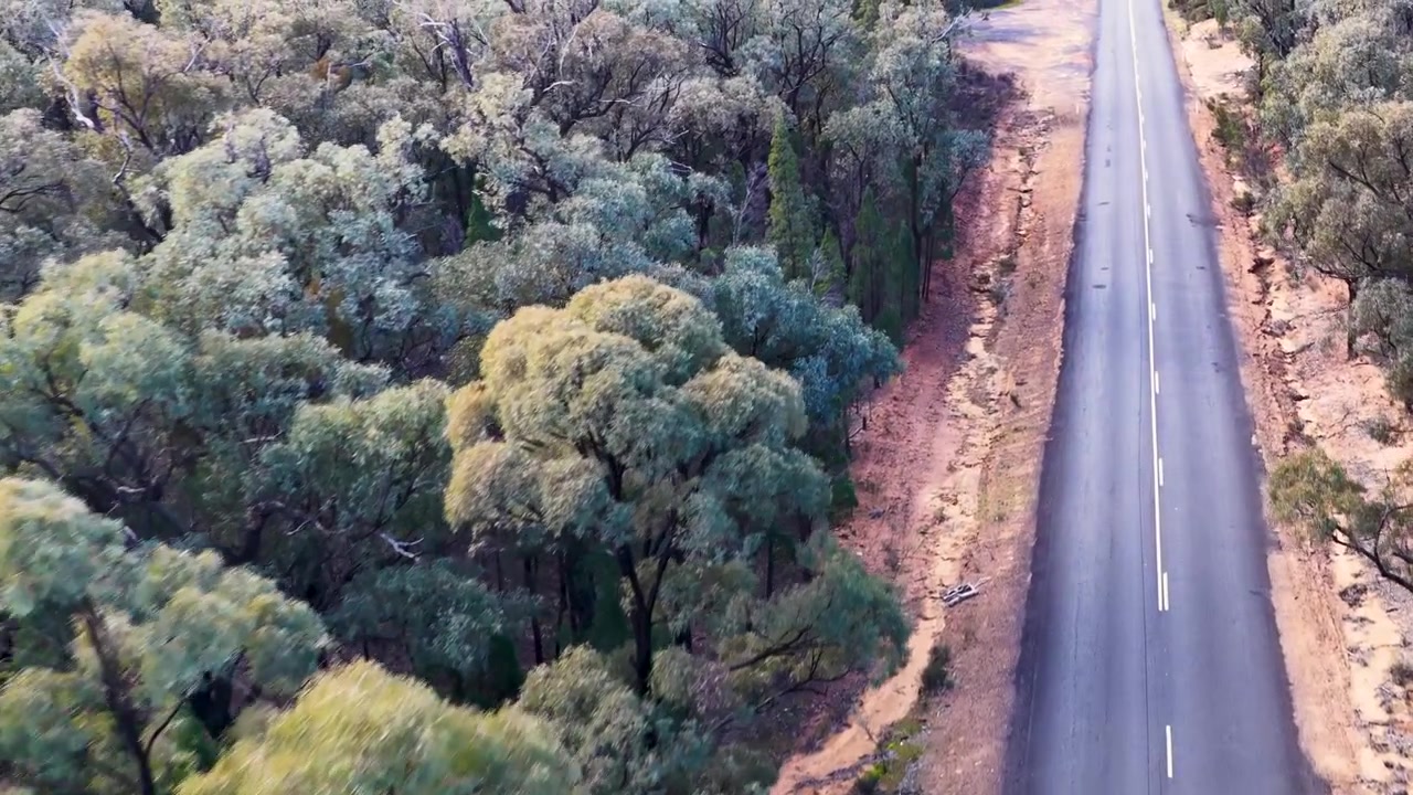 Prise de vue par drone en plongée suivant une route asphaltée droite à travers une brousse dense dans l'Australie rurale.