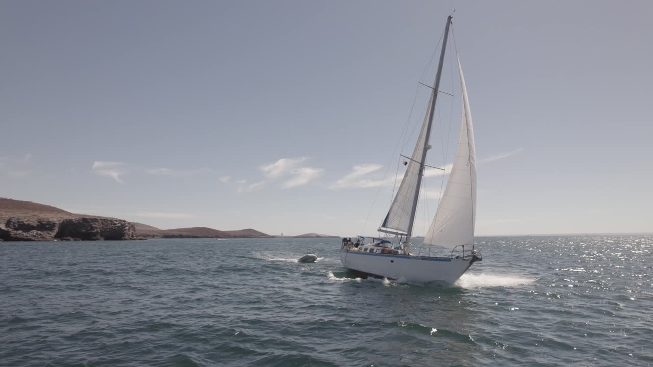 velero blanco navegando en el océano