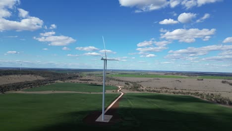 towering wind turbines rising above an outback australian cattle property