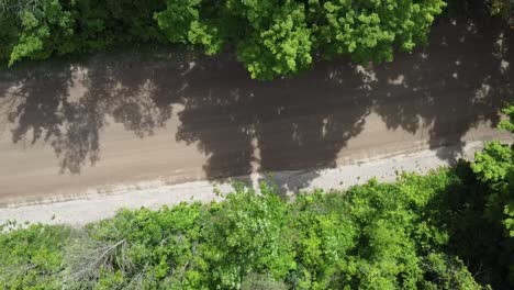 Top-Down-Aerial-View-Of-A-Road-And-Forest-Trees