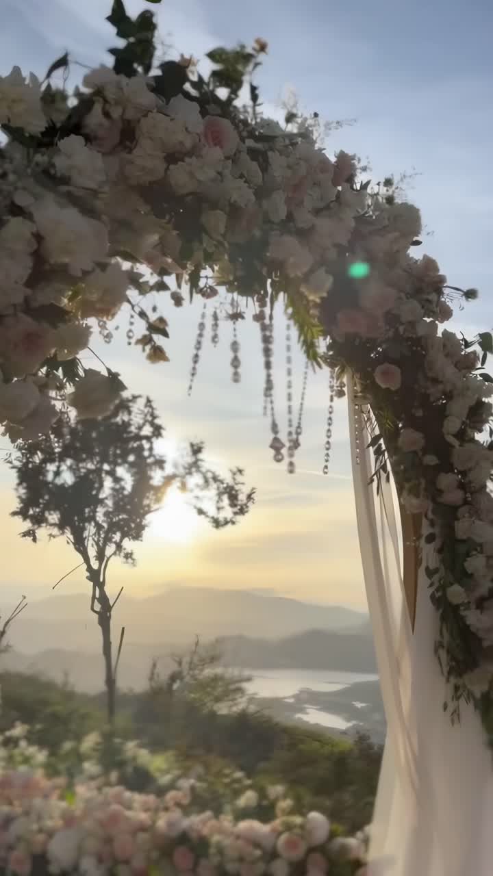 Arco nuziale romantico con rose rosa al tramonto, ripreso da un'angolazione bassa in un video da sogno.