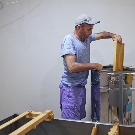 collecting honey from honeycombs. process of extracting honey from bee honeycombs