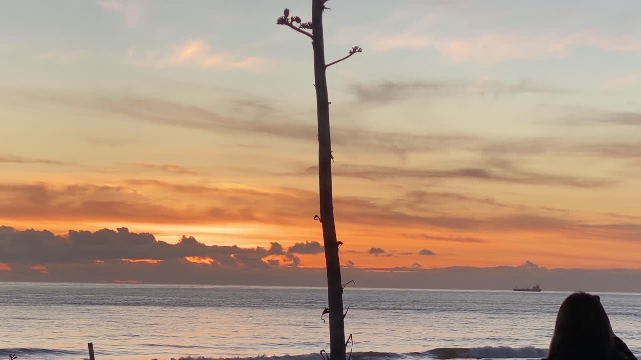 вид сзади на женщину, которая держит телефон в руках и фотографирует вечерний закат с несколькими серферами, наслаждающимися волнами в городе каркавелуш португалия