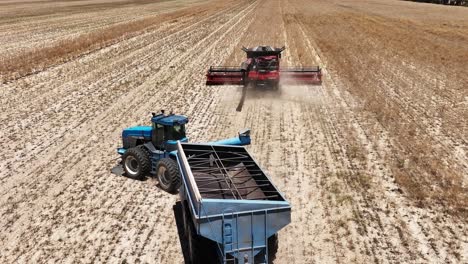 step into the world of cutting-edge machinery during a large-scale canola harvesting operation