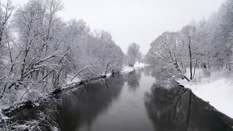 flight above flowing river among snowbound coastline with trees leaning down