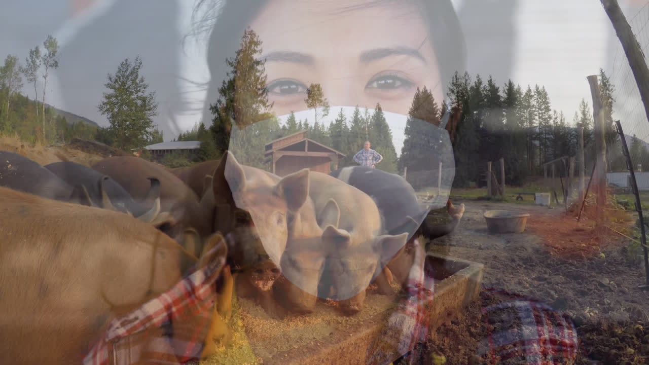 Woman wearing face mask against pigs eating in a farm