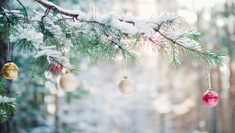 a green branch of spruce with christmas toys and fluffy snow on green branches in a pine winter fore