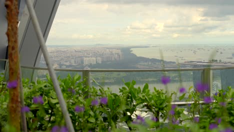 Singapore flowers sea view from CapitaSpring Sky Garden rooftop scenery panning shot