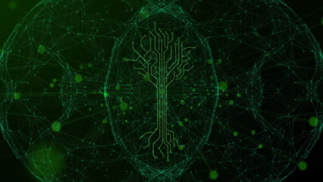 animation of circuit tree design with glowing green connections over digital network